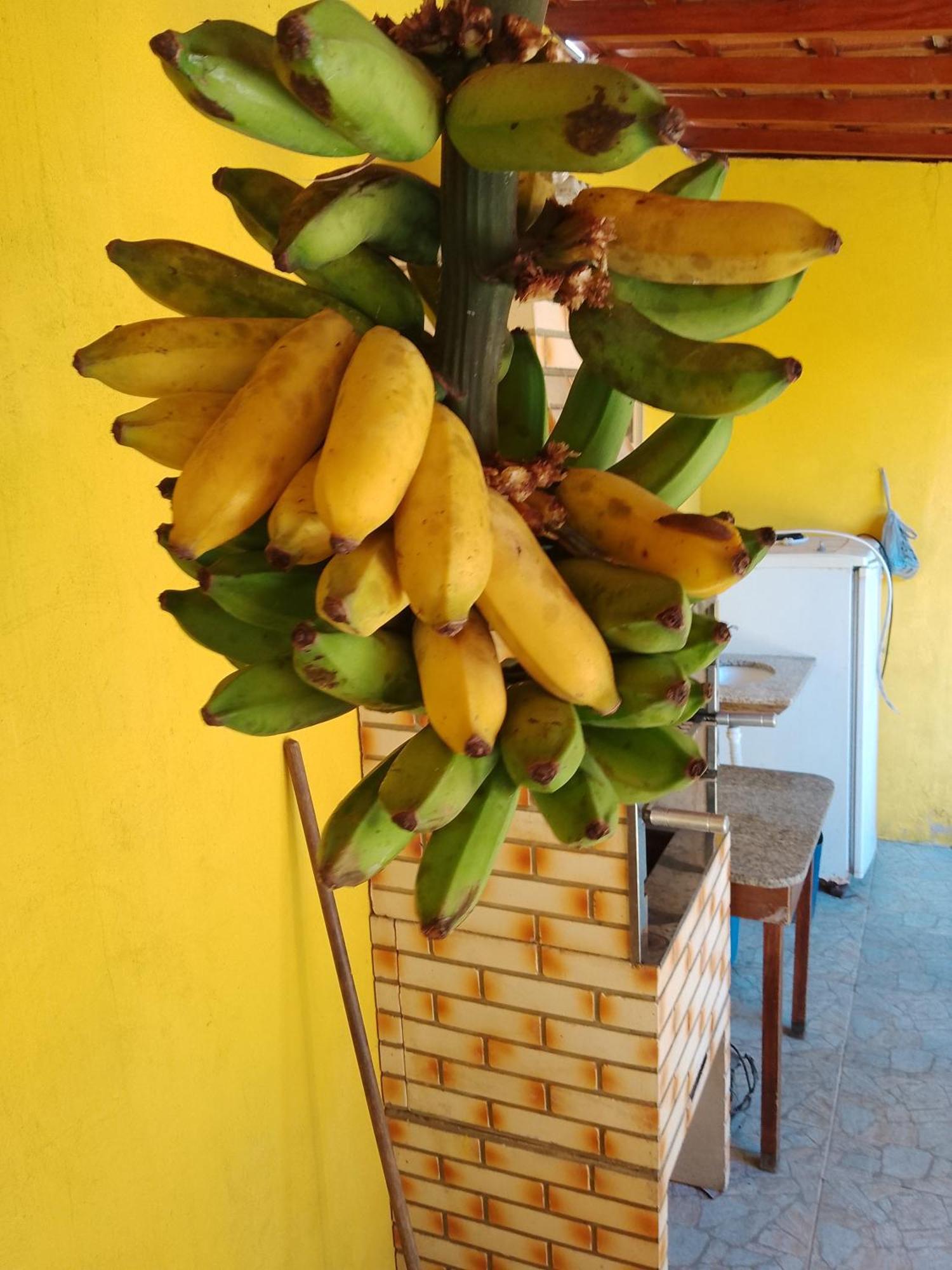 Casa De Temporada Lindas Cachoeiras 10 파라티 외부 사진